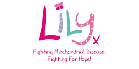 The Lilly Foundation: Fueling Educational Dreams for Generations
