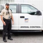 What Skills Do You Need as an Animal Control Worker?