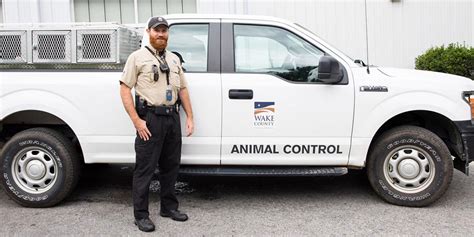 What Skills Do You Need as an Animal Control Worker?