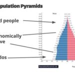 Census Data: A Treasure Trove for AP Human Geography