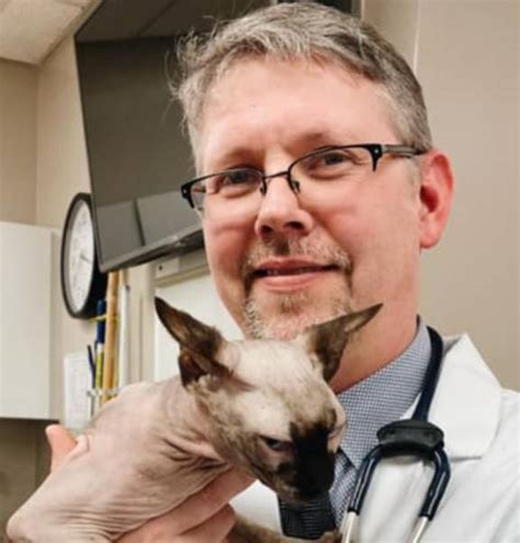 Obituary: Ann Golden, Beloved Veterinarian in Illinois A Passion for Animal Welfare A Legacy of Compassion and Dedication Professional Affiliations and Accomplishments Community Involvement A Lasting Impact