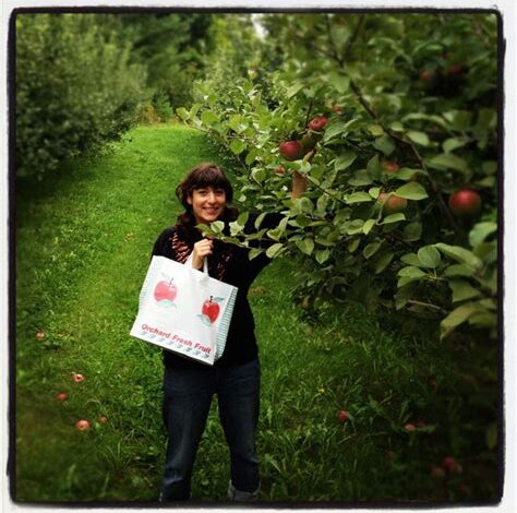 Douglas Orchard Vermont: A Comprehensive Guide to the State’s Largest Apple Producer