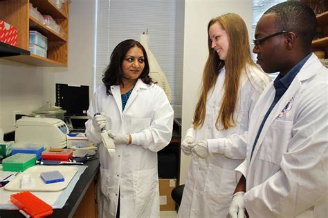 University of Florida Biology Major: Unleashing a World of Possibilities