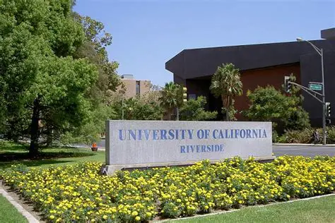 UC Riverside Economics Program: A Leading Force in Economic Research and Education