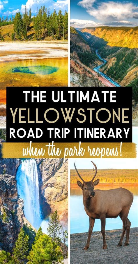 Gas Round Trip from Minneapolis to Yellowstone: Planning a Budget-Friendly Adventure