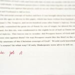 Examples of Princeton’s Song Essay to Inspire Your Own