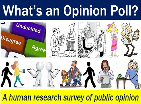 Opinion Polls in AP Government: Definition, Types, and Methodology