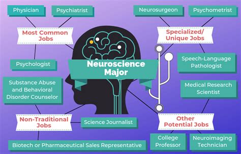 Jobs with a Neuroscience Degree: Exploring the Brain’s Potential