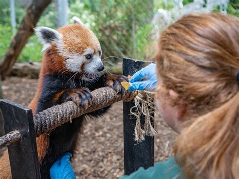 Philadelphia Zoo Hiring! Join a Team Dedicated to Animal Conservation Frequently Asked Questions Additional Resources Tables