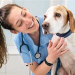 Best Animal Science Colleges: Nurturing Future Leaders in Animal Care and Management