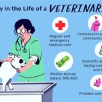 Is It Hard to Get a Job as a Vet?