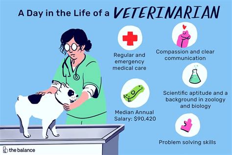 Is It Hard to Get a Job as a Vet?