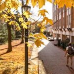 UNC Chapel Hill Early Action: Deadline, Requirements, and Benefits