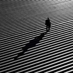 Best Schools for Photography: Capture the Essence of Light and Shadow