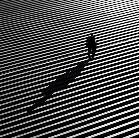 Best Schools for Photography: Capture the Essence of Light and Shadow