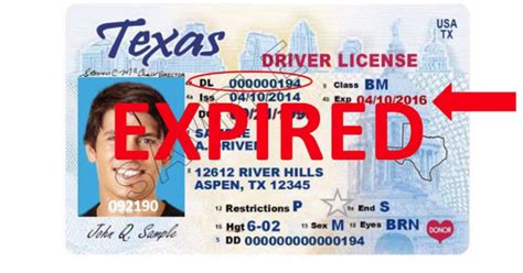 My Driver’s Permit Expired: What Should I Do?