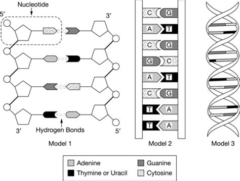 Unit 1 Progress Check – Required AP Bio