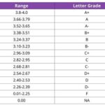 What is a 19 out of 30 Grade?