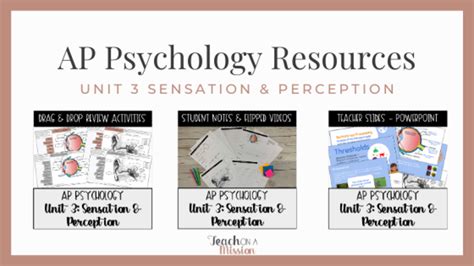 AP Psychology Unit 3 Review: Sensation and Perception