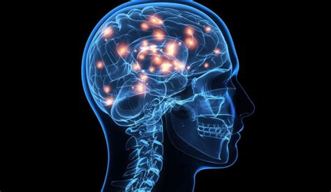 University of Pittsburgh Neuroscience: Exploring the Frontiers of the Human Mind