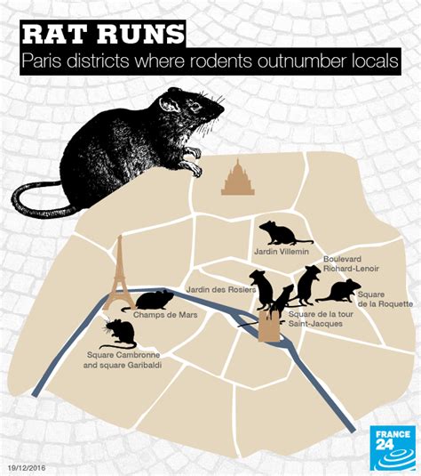 The Rat Binghamton: A Comprehensive Exploration of the City’s Rodent Population