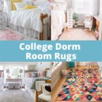 Dorm Room Rugs: The Perfect Way to Spruce Up Your Space