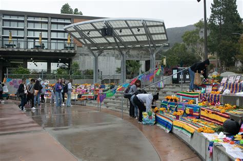 Cal Poly Honors: A Gateway to Success and Distinction