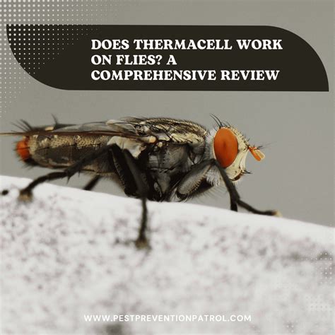 Does Thermacell Work on Flies?