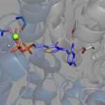 Northwestern University Chemistry Department: Leading the Frontier of Chemical Innovation