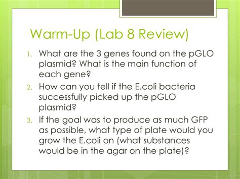 Can You Use PGLO to Observe Functions of E. coli?
