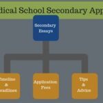 Do Medical Schools Send Secondary Applications in Groups?