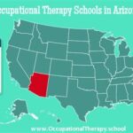 OT Programs in Arizona: A Comprehensive Guide