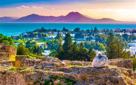 Carthage Visit Grant: Explore the Ruins of an Ancient Civilization