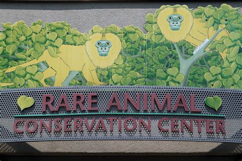 Philadelphia Zoo Careers: A World of Conservation, Education, and Animal Welfare