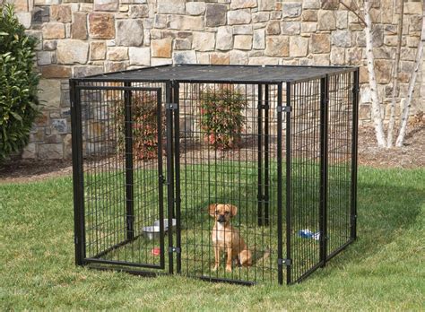Pet Fence for Small Dogs: Unleashing Peace of Mind in Your Yard