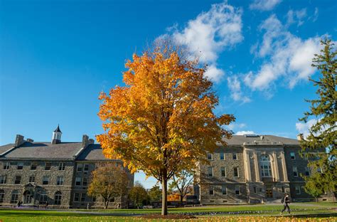 Majors at Colgate University: Exploring the Diverse Academic Landscape