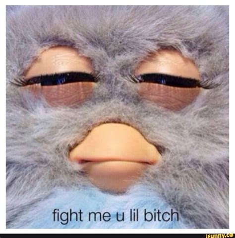 Furby, Fight Me: A Battle for Supremacy