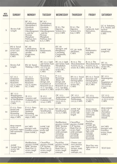 4-Month MCAT Study Plan: A Comprehensive Guide to MCAT Mastery