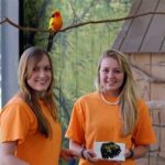 Elmwood Park Zoo Internship: An Immersive Journey into Animal Care and Conservation