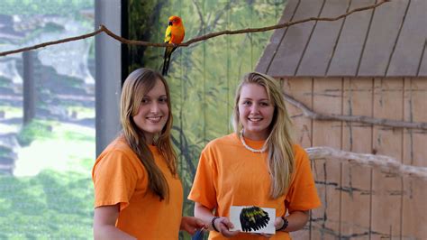 Elmwood Park Zoo Internship: An Immersive Journey into Animal Care and Conservation