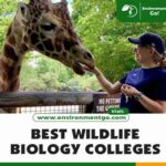 Best Animal Biology Colleges: A Comprehensive Guide