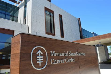 Memorial Sloan Kettering Cancer Center Summer Internship: A Transformative Experience