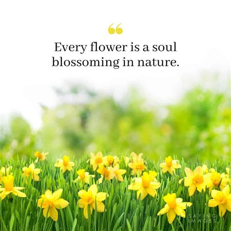Flowers for a Daughter: A Blossoming Expression of Love and Appreciation