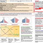 Apes Unit 1 Review: Uncovering the Evolutionary Journey of Primates