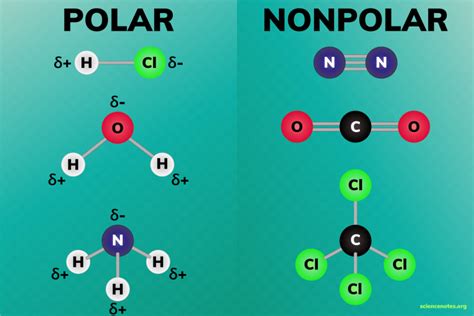 Is Polar or Nonpolar More Conductive?