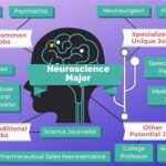 Neuroscience Psychology: Careers That Matter