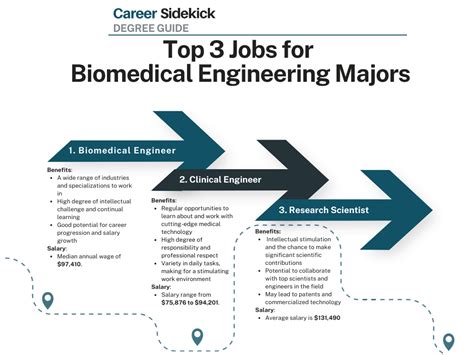 A Comprehensive Guide to the Biomedical Engineering Degree Plan at Texas A&M University
