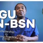 WGU Nursing Scholarships: A Pathway to Affordable Education