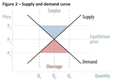 Shortage or Surplus: Understanding the Supply-Demand Dynamics