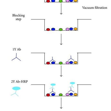 What Protocol is Depicted in the Diagram Below?